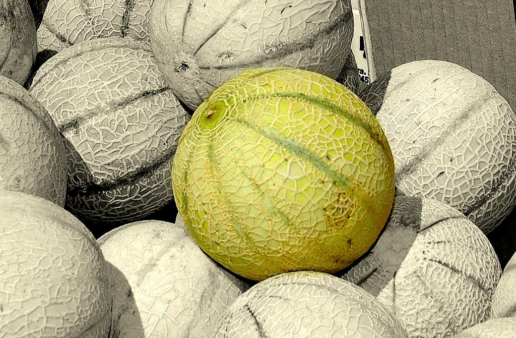 Melone   Colorkey Kopie