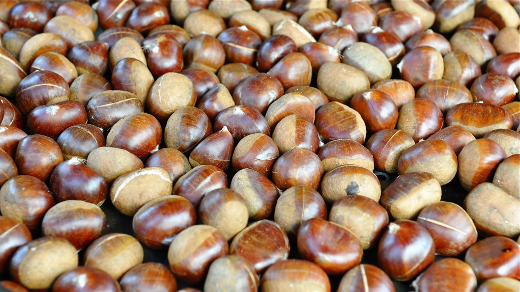 MER 8374