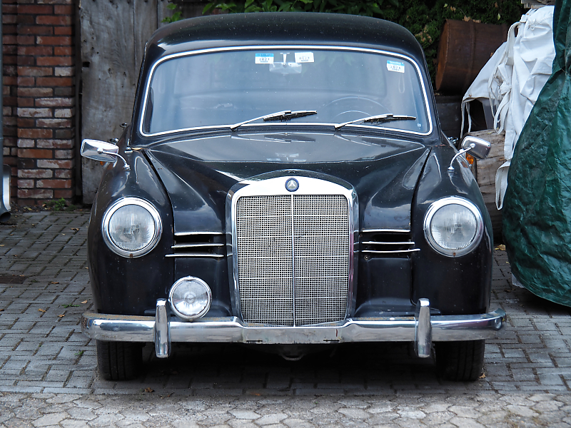 Mercedes Benz.jpg