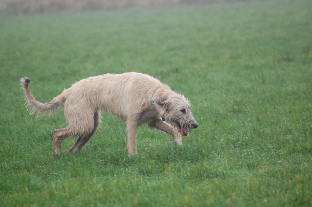 Merle 17.11.13 022