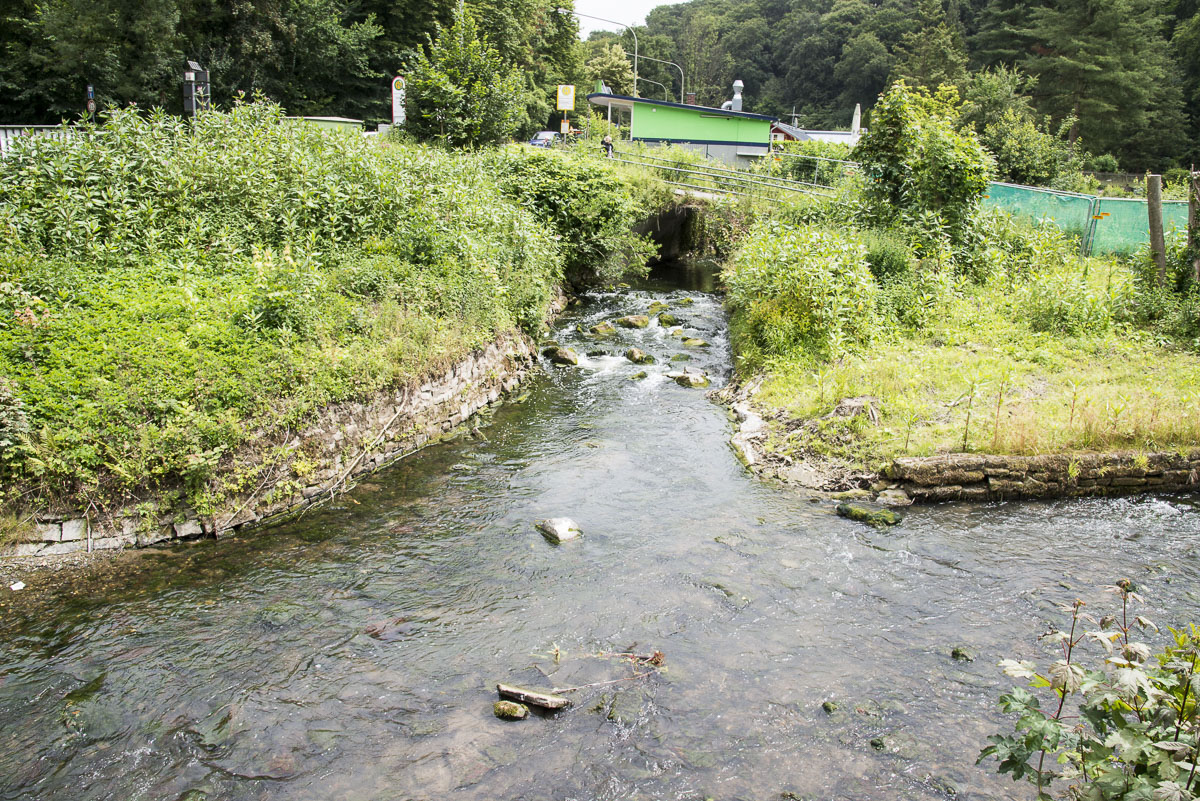 Mettmanner Bach Düssel