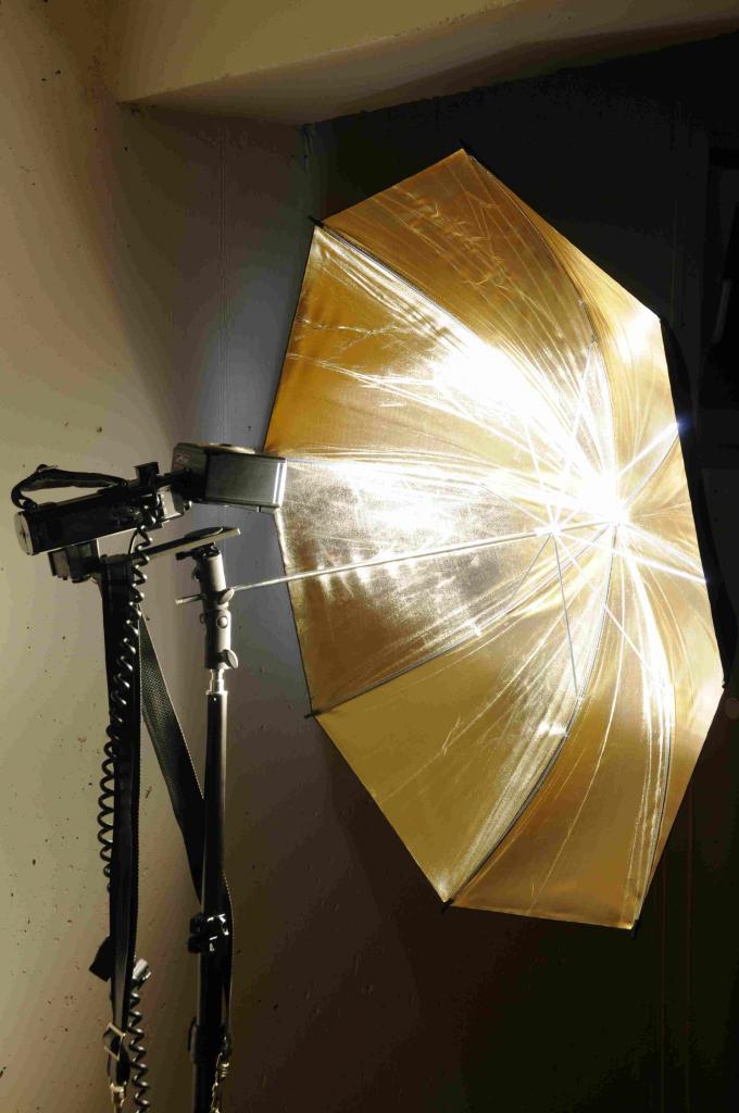 Metz 60 CT-4 auf Stativ mit Reflexschirm.

Licht war der entfesselt ausgelöste Blitz im Bild.