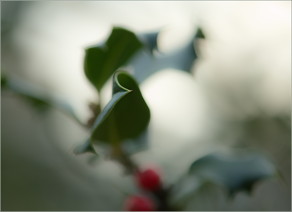 Micro2