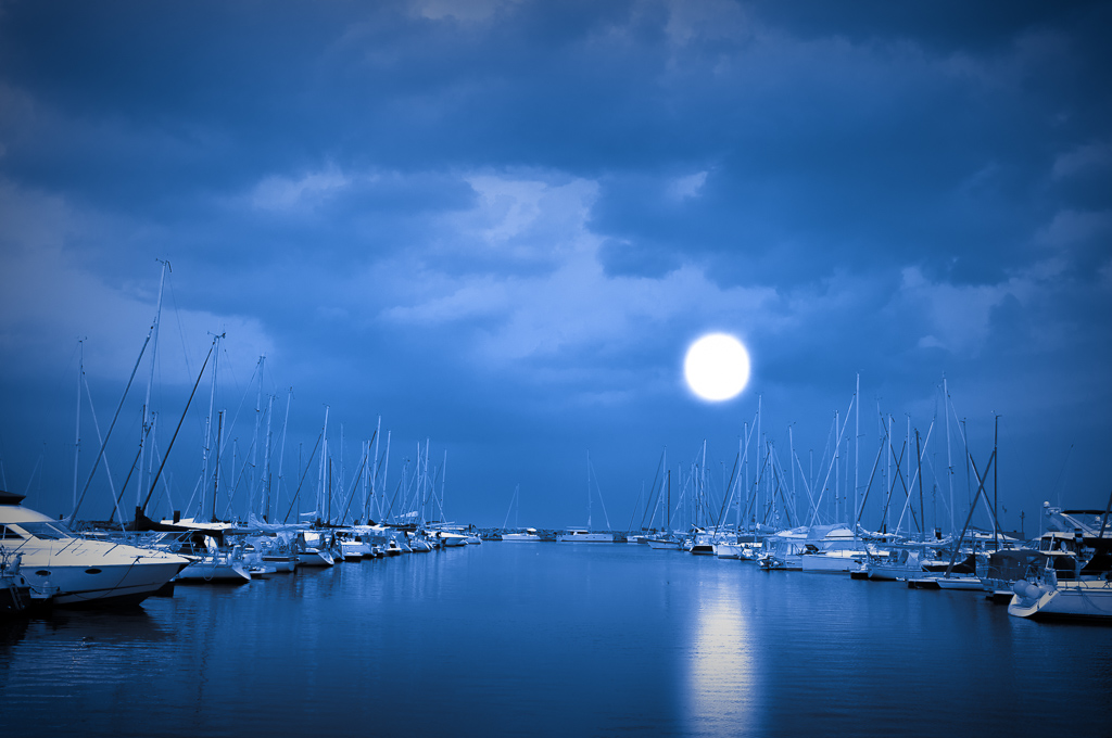 Midnight Port