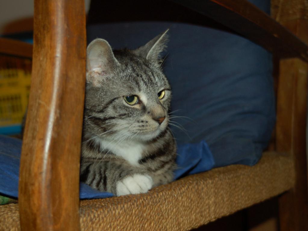 Mimi - 28.05.09