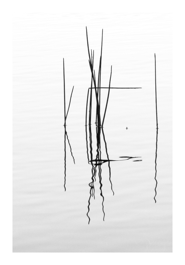 Minimalismus