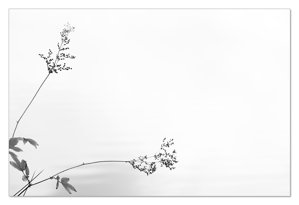 minimalistisch