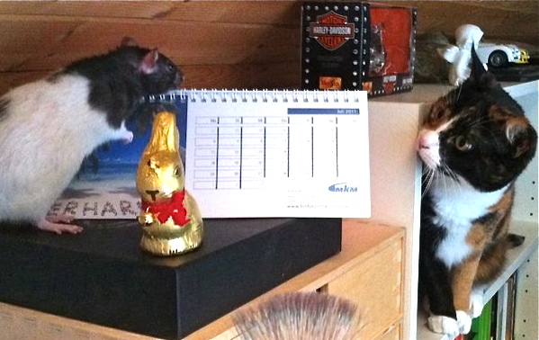 Minka (rechts) hat eine unheimliche Begegnung...