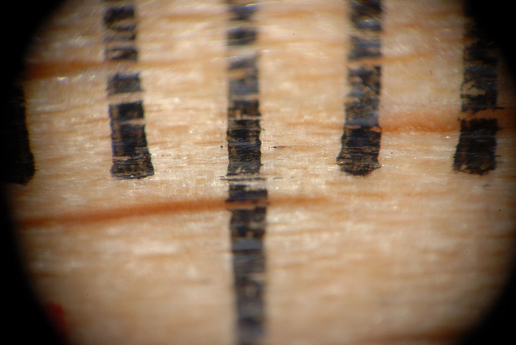 Mit dem selbstgebasteltem Lupenobjektiv-Vorsatz am 85/3.5G micro VR - Nikkor (Maßstab 1:5,5):
4,3 mm auf einem Meterstab aus Holz