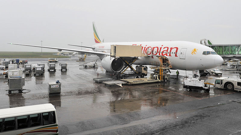 Mit Ethipian Airlines geht es nach Addis Abeba.
Tortz größter Dürrekatasrophe in Ost Afrika, regnet es während der Trockenzeit
6806