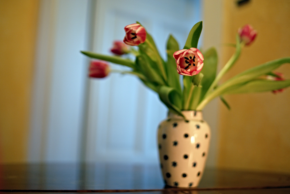 mit Sigma 30/1.4 (Offenblende)