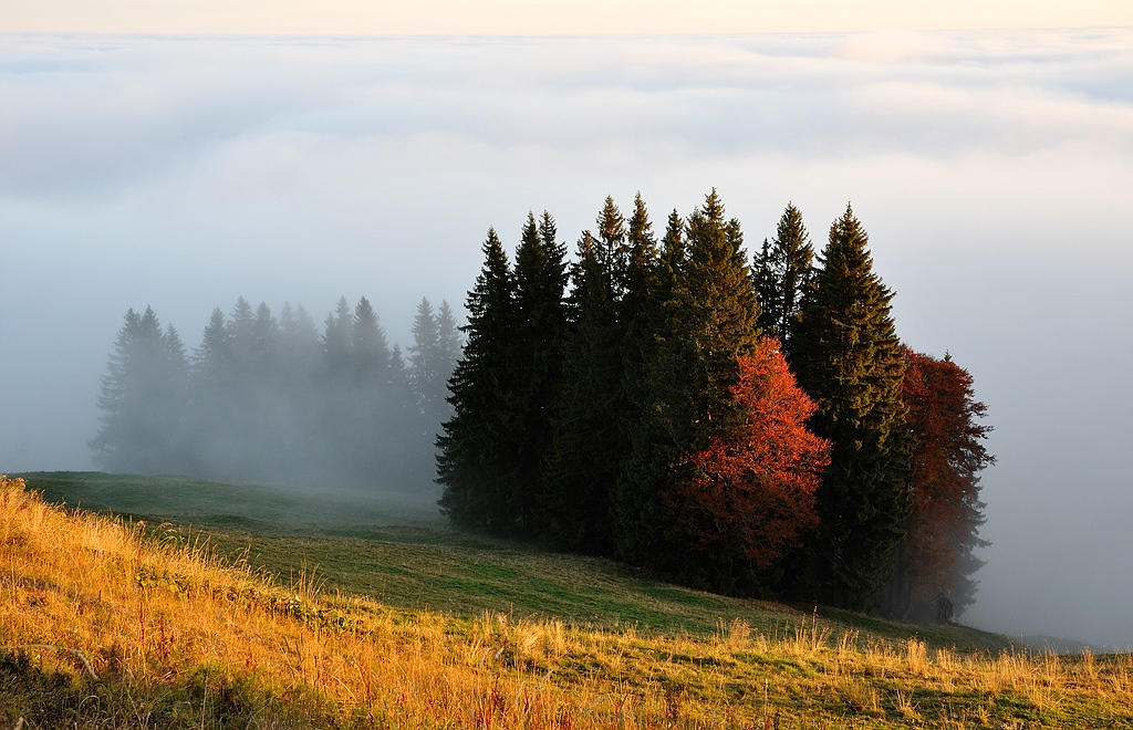 Mittag3 web