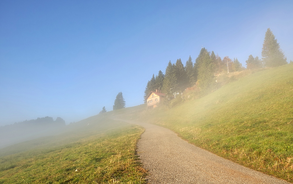 Mittag6 web