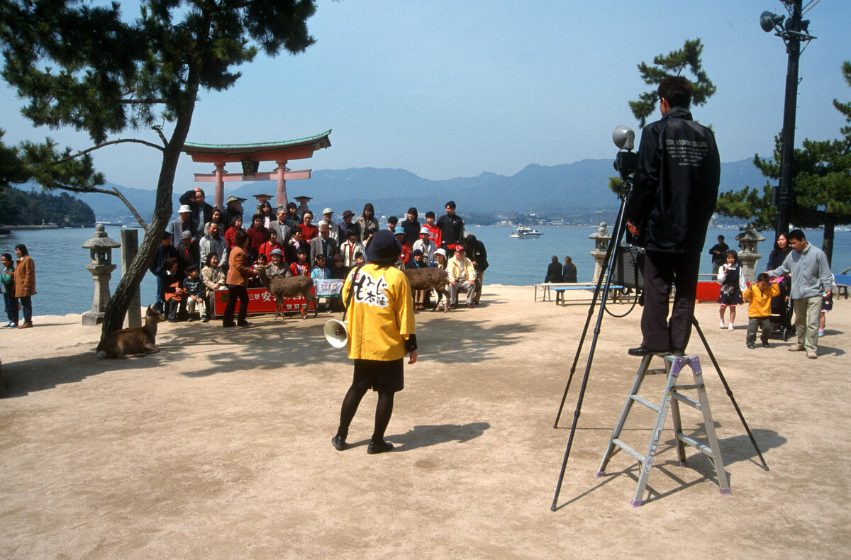 Miyajima, Tori.jpg