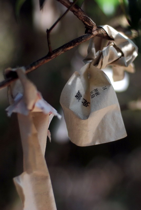 Miyajima