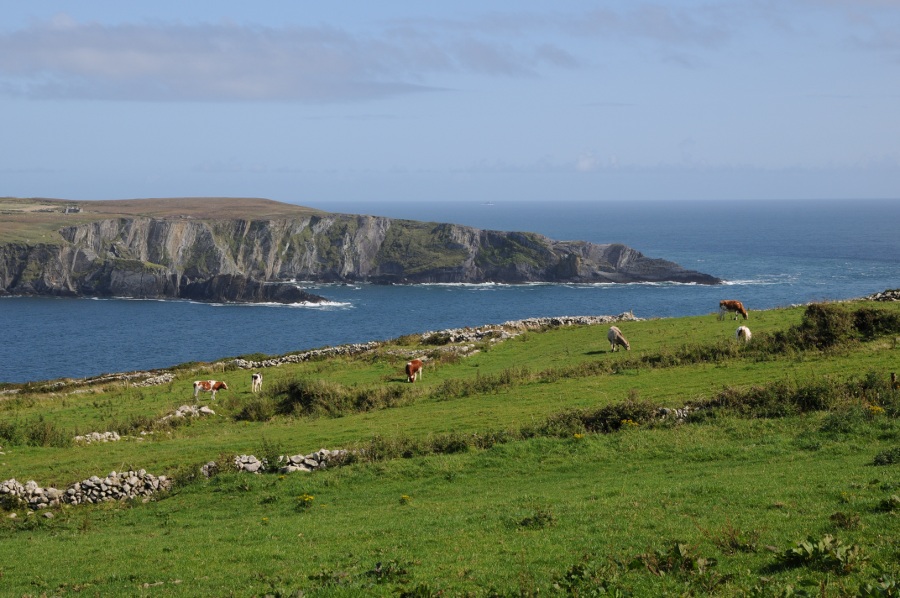 Mizen Head