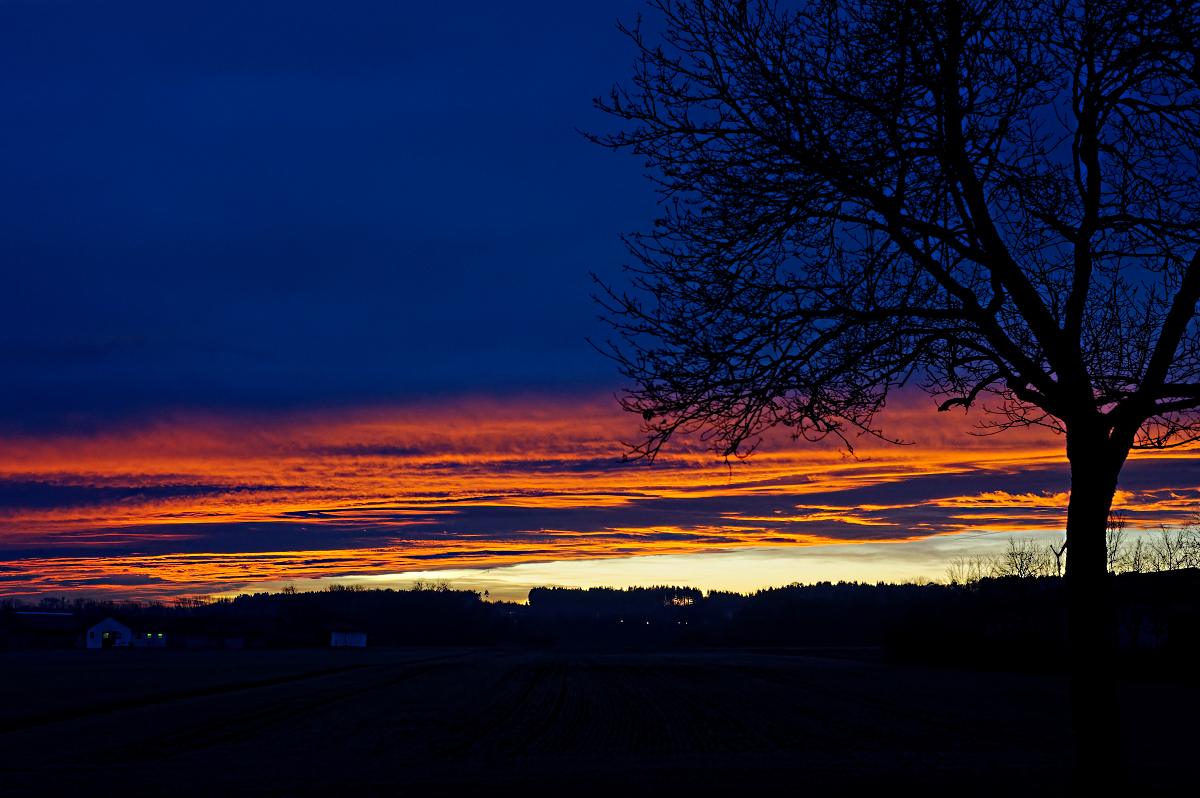 MMM_2124_DxO2.jpg