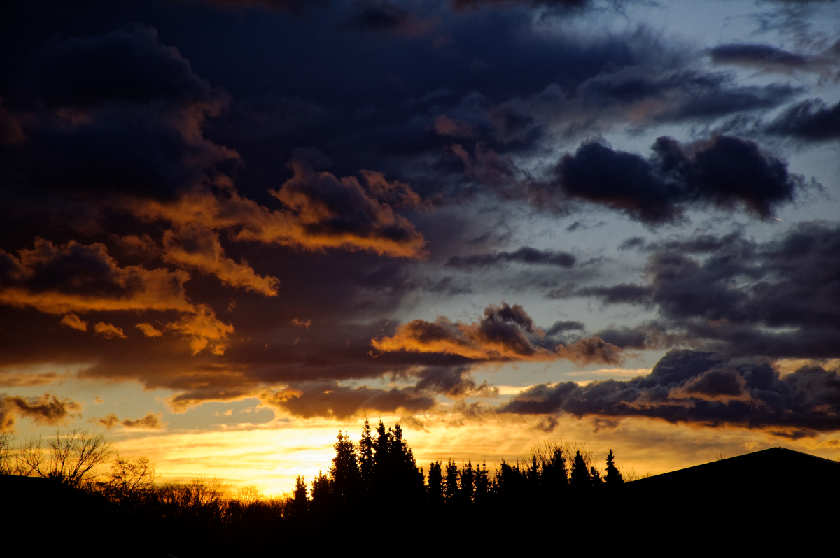 MMM_2216_DxO.jpg