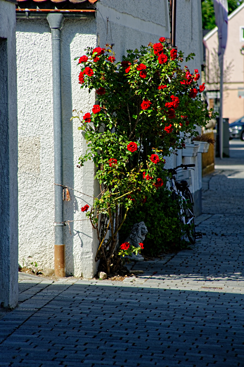 MMM_3067_DxO - Kopie.jpg
