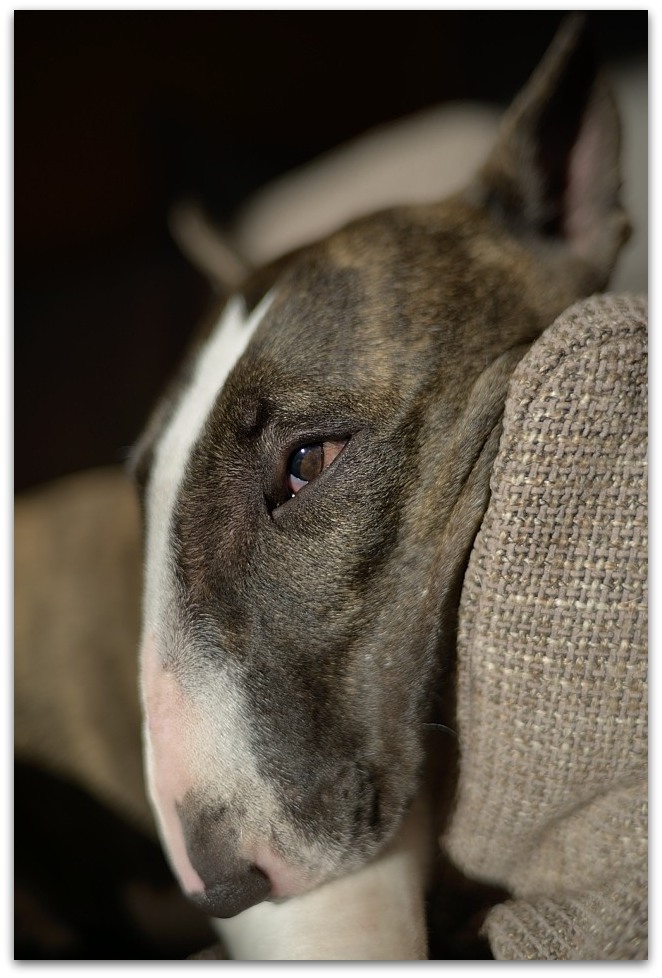 MNE 2093, 20140220
D800 Ai-S 35mm f1,4 bei 2,0