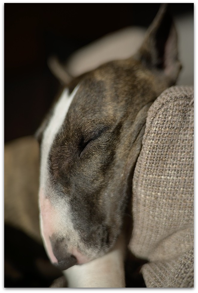 MNE 2098, 20140220
D800 Ai-S 35mm f1,4 bei 2,0