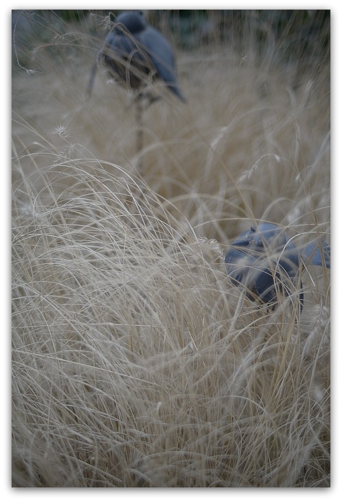 MNE 2134, 20140222
D800 Ai-S 35mm F1,4