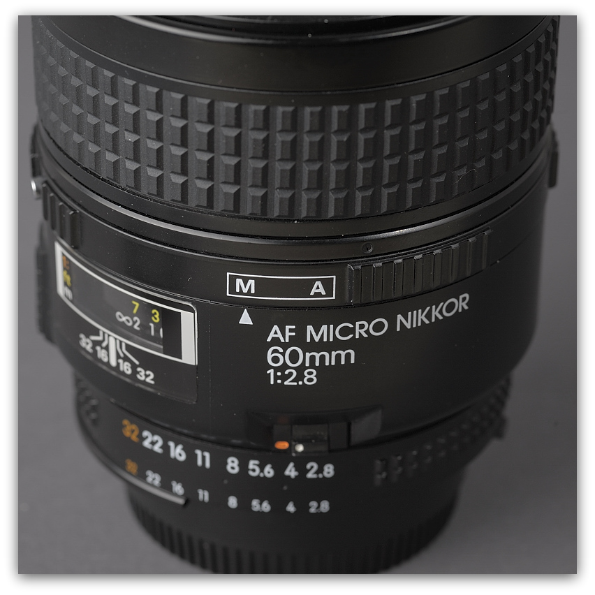 MNE 5991