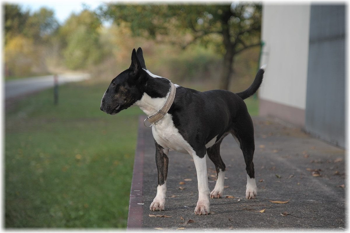 MNE 6026
20161030-Cleo