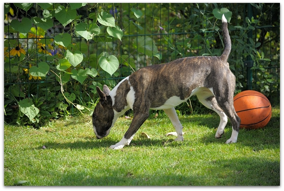 MNE 6527, 20141002
D700 AF-S 24-120/4,0