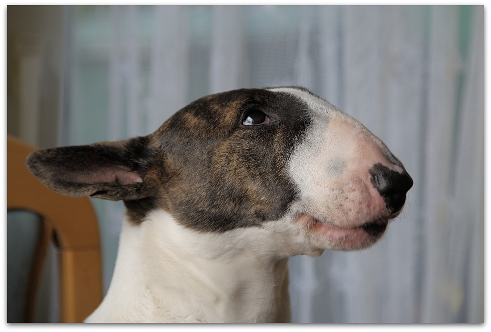 MNE 7047, 20141026
Lise
D700 AF-S 24-120/4,0