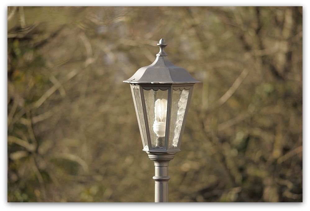 MNE 7069, 20131229
D700 Ai-S 200mm/f4,0