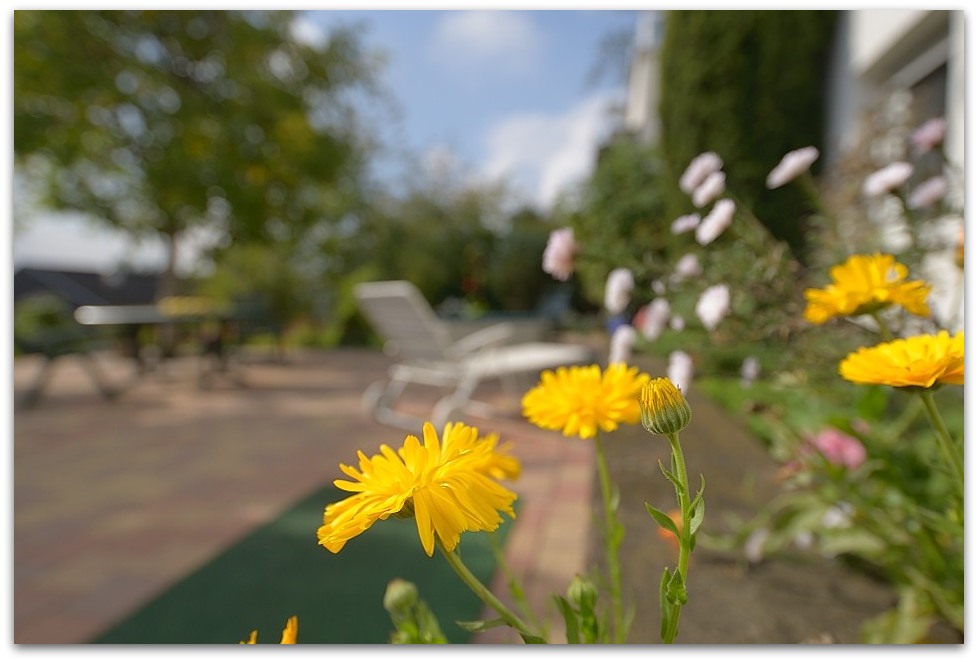MNE 7228, 20141001
D800 AF-S 18-35mm 3,5-4,5 G ED