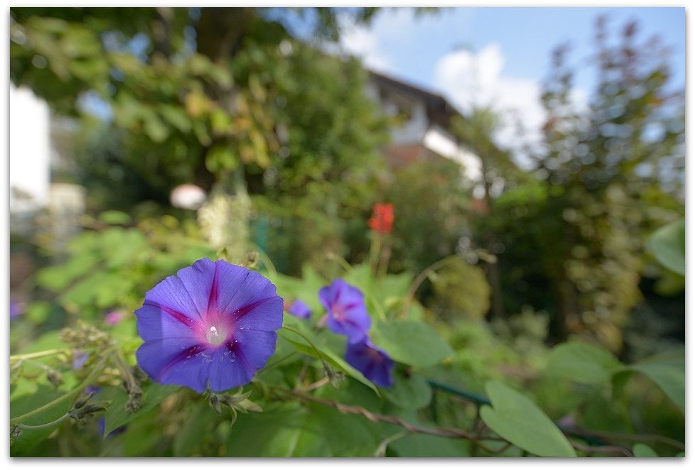MNE 7230, 20141001
D800 AF-S 18-35mm 3,5-4,5 G ED