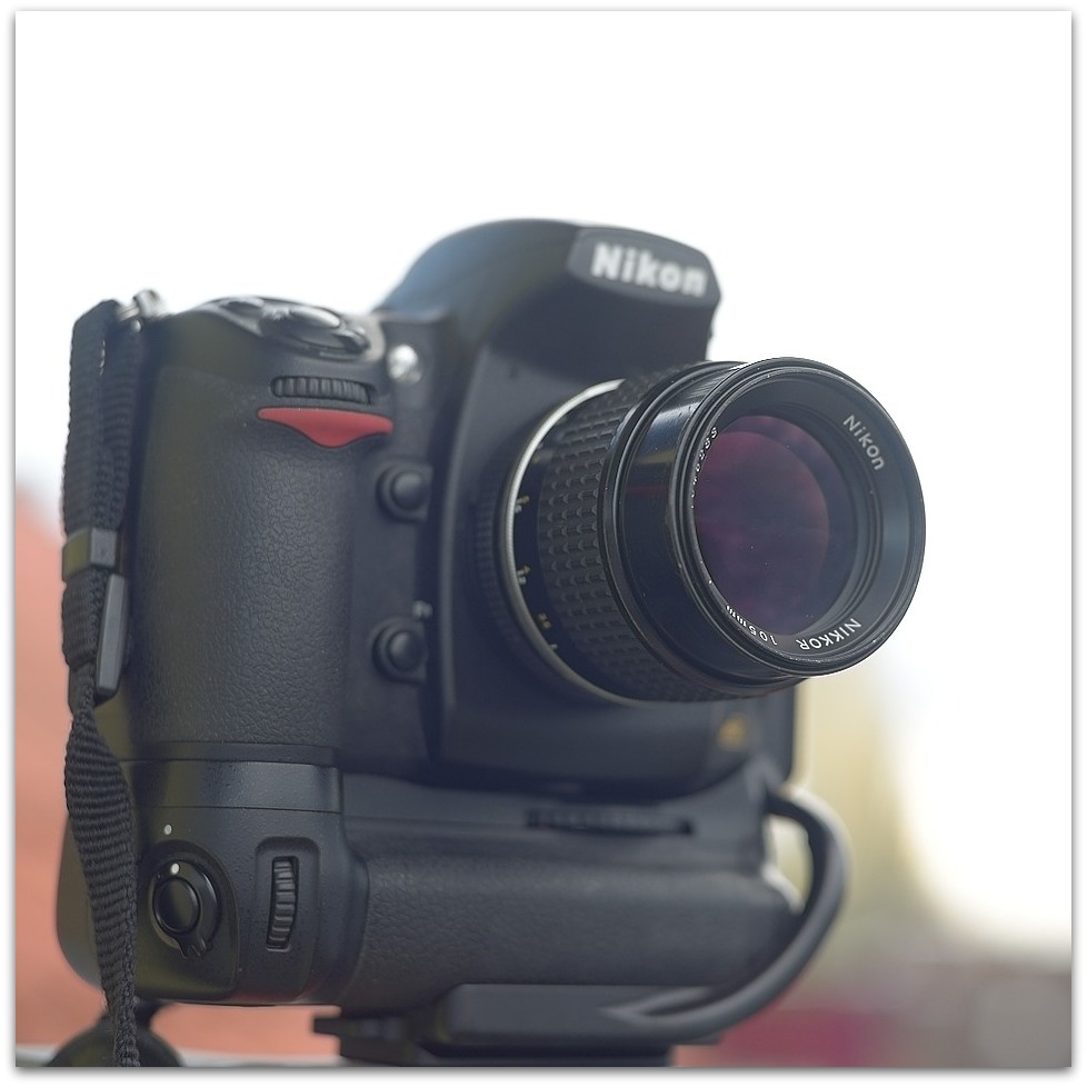 MNE 7256, 20141017
D800 AF 50mm/1,4D