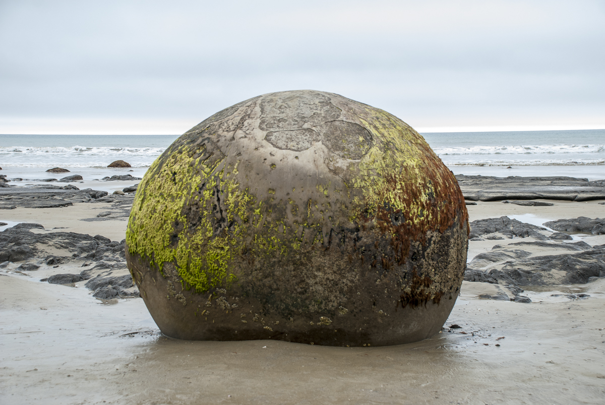 Moeraki Boulder.jpg