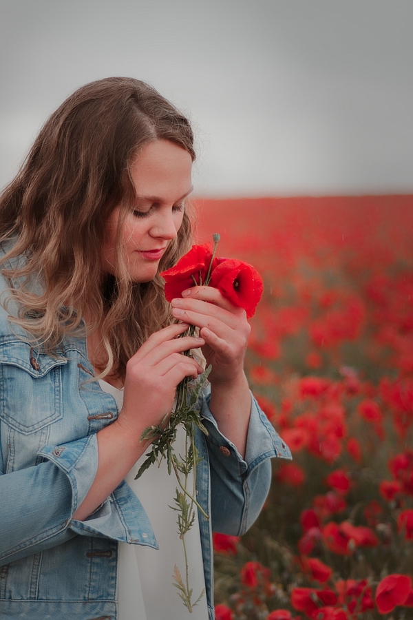 Mohn III