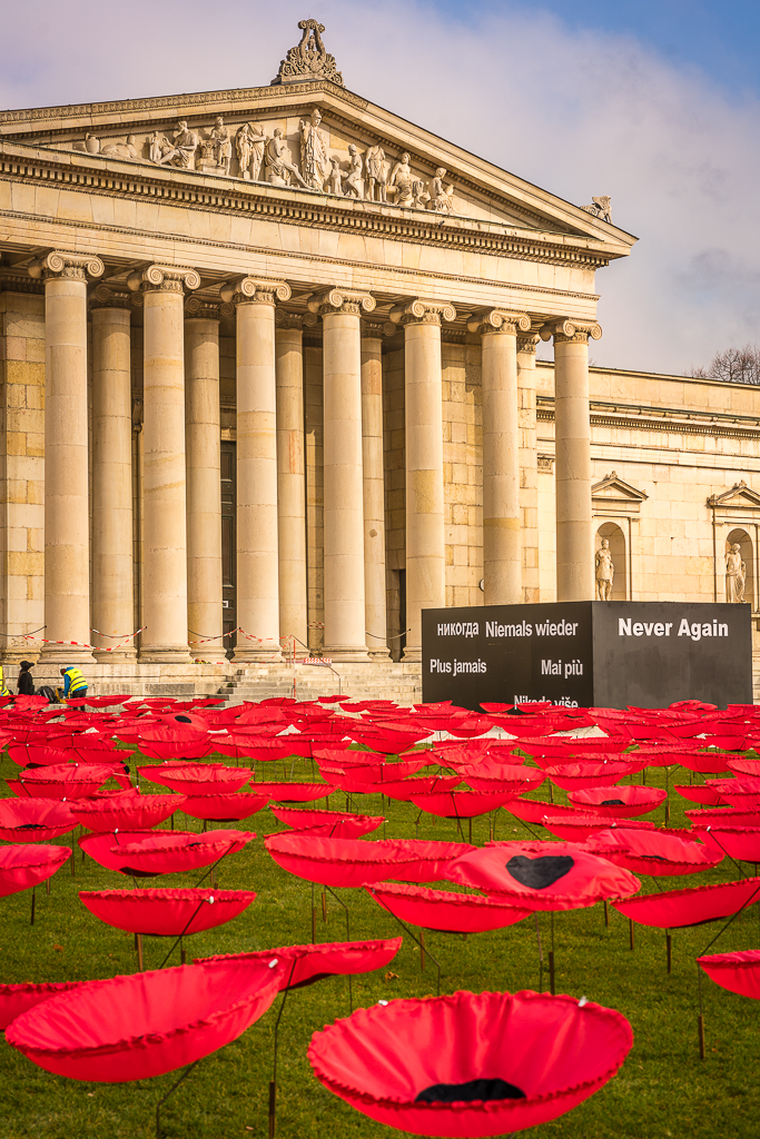 Mohnblumen Königsplatz 1
