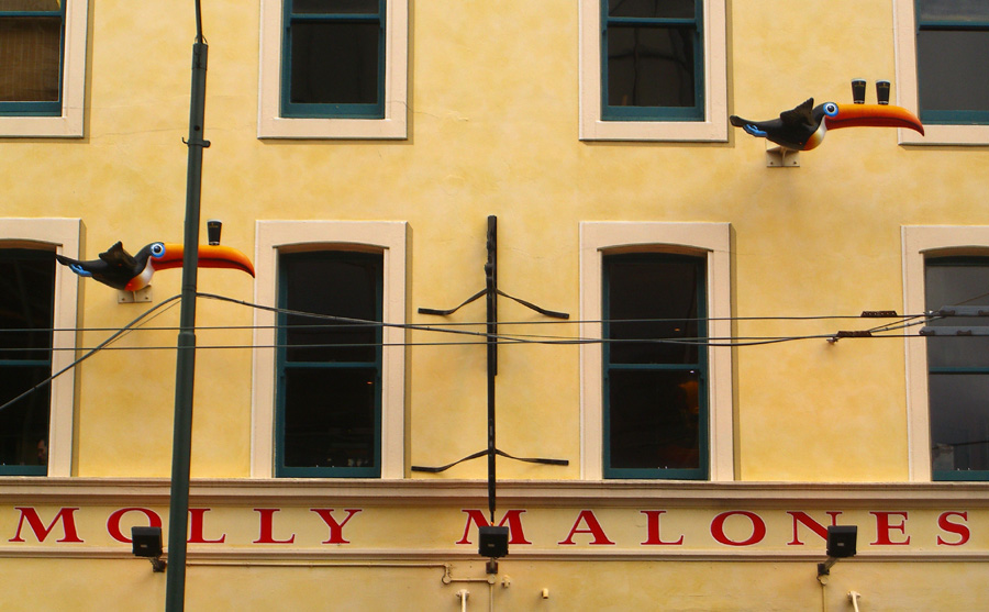 Molly Malones