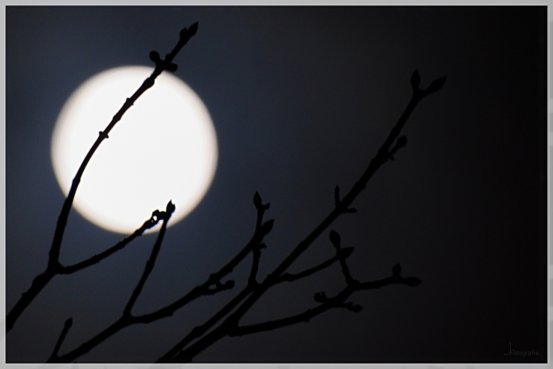 Mond 1