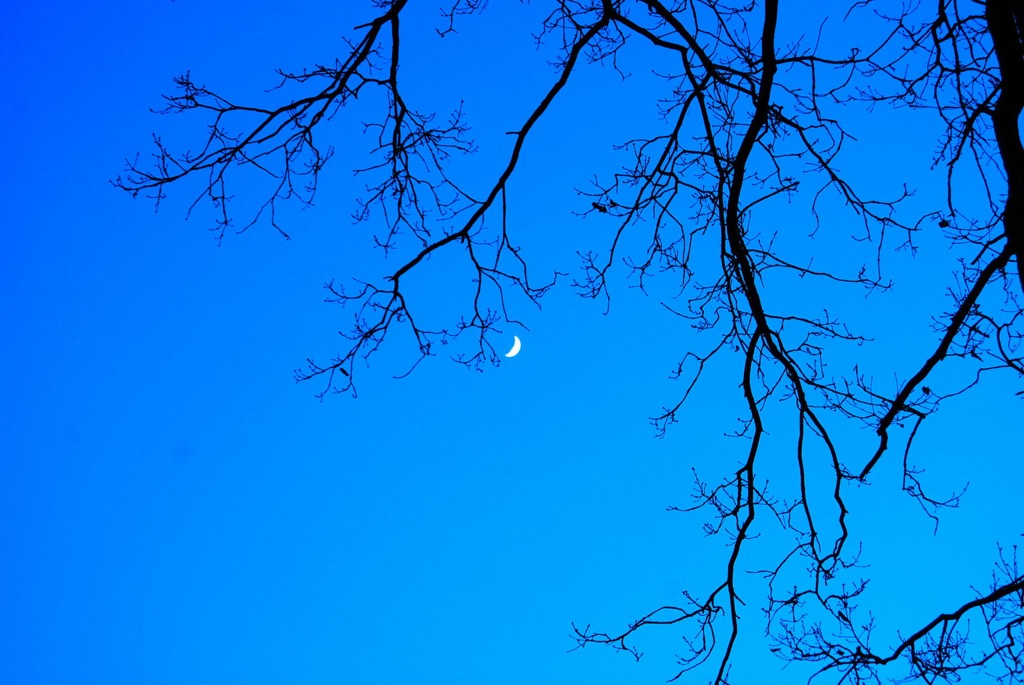 Mond 2, 2009