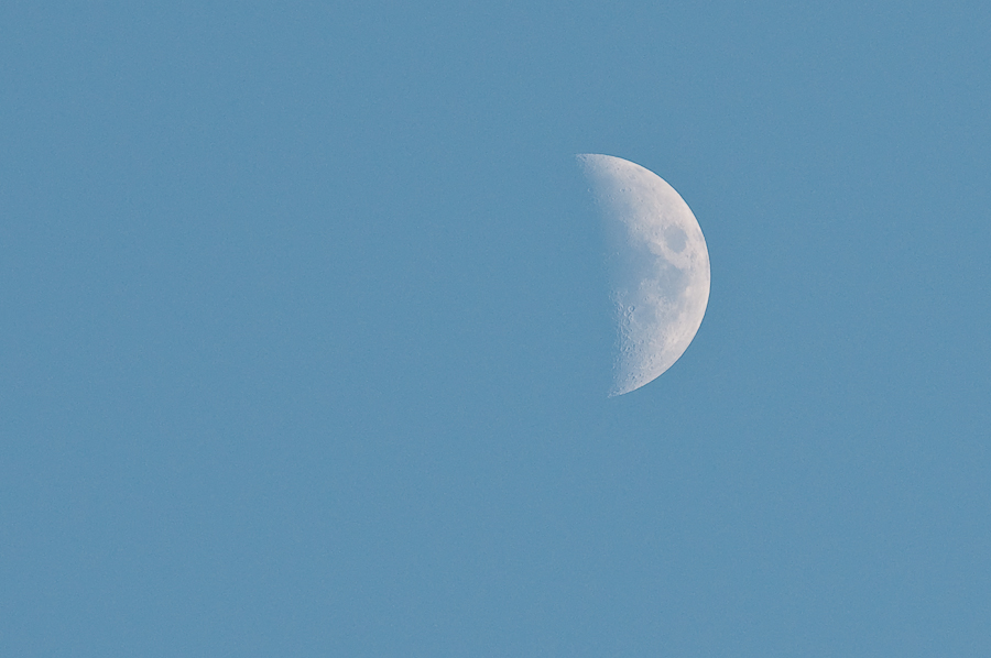 mond 4416