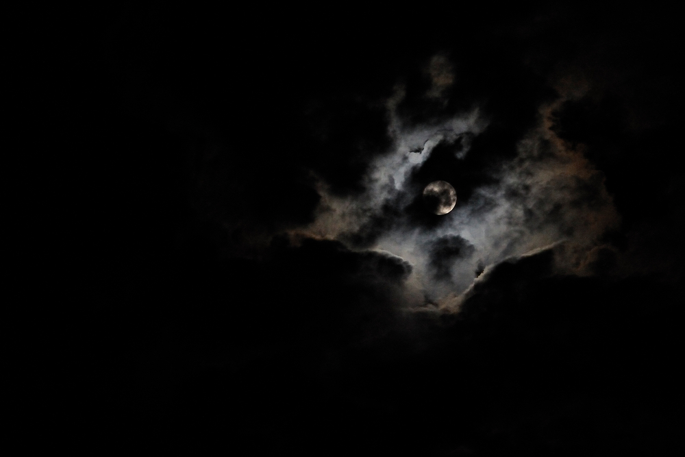 mond b