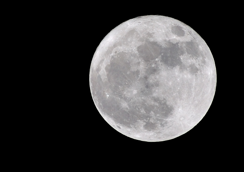 Mond D90 3460 2