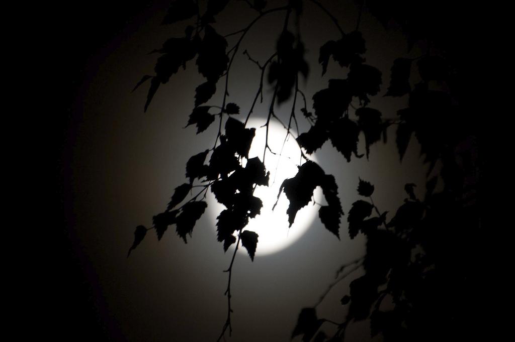 Mond DSC9338 klein