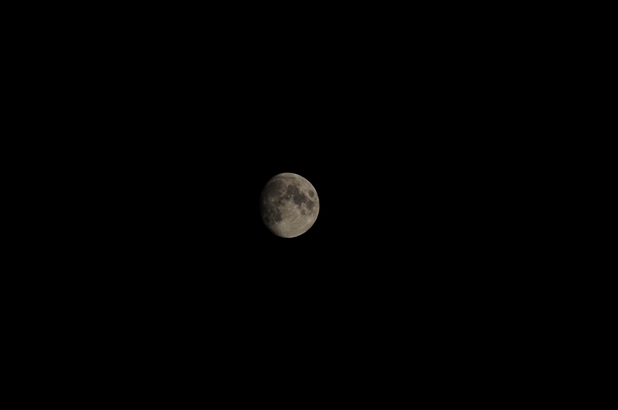 Mond Original