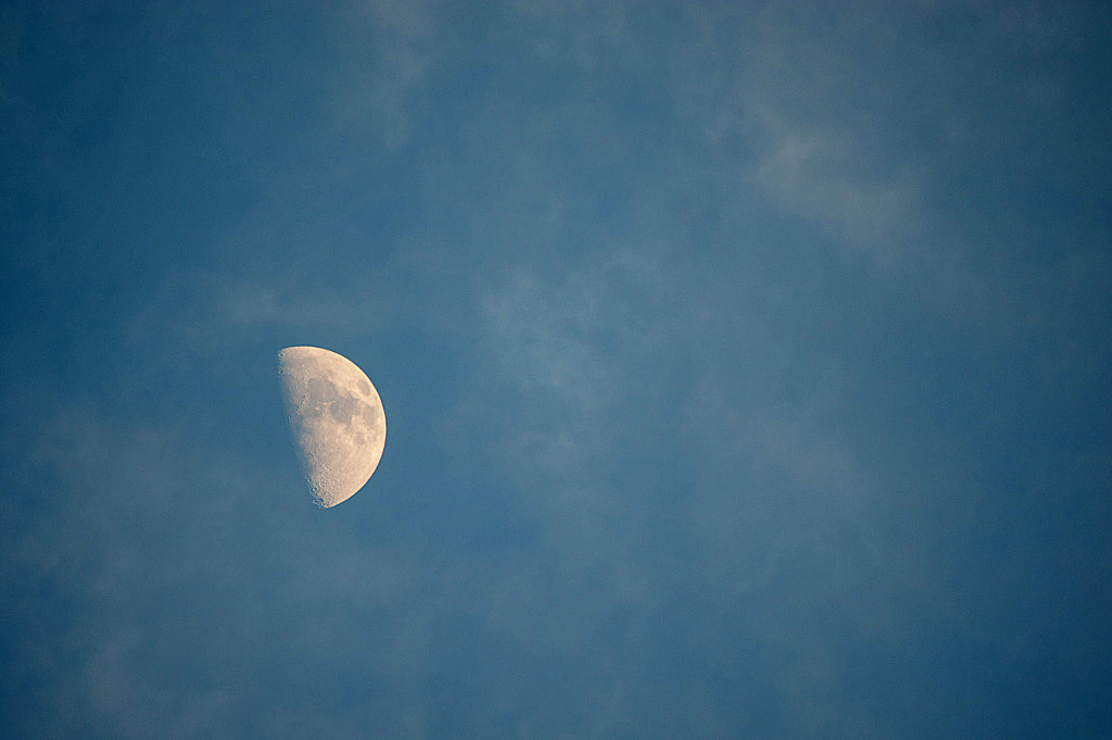 mond Tamron SP 150 600 5 6,3 DI VC USD