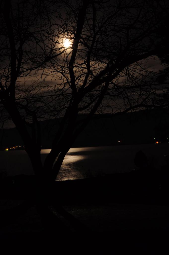 Mond