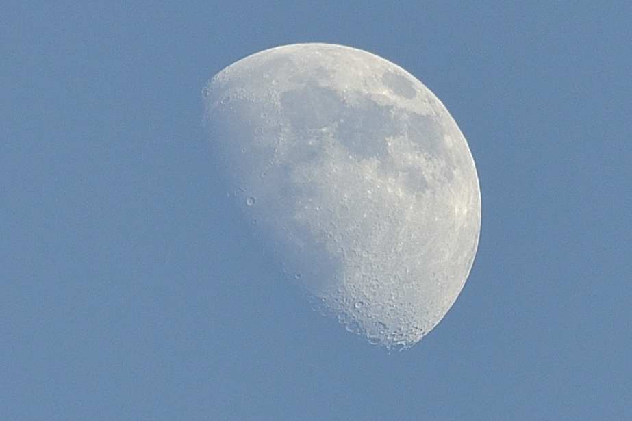 Mond