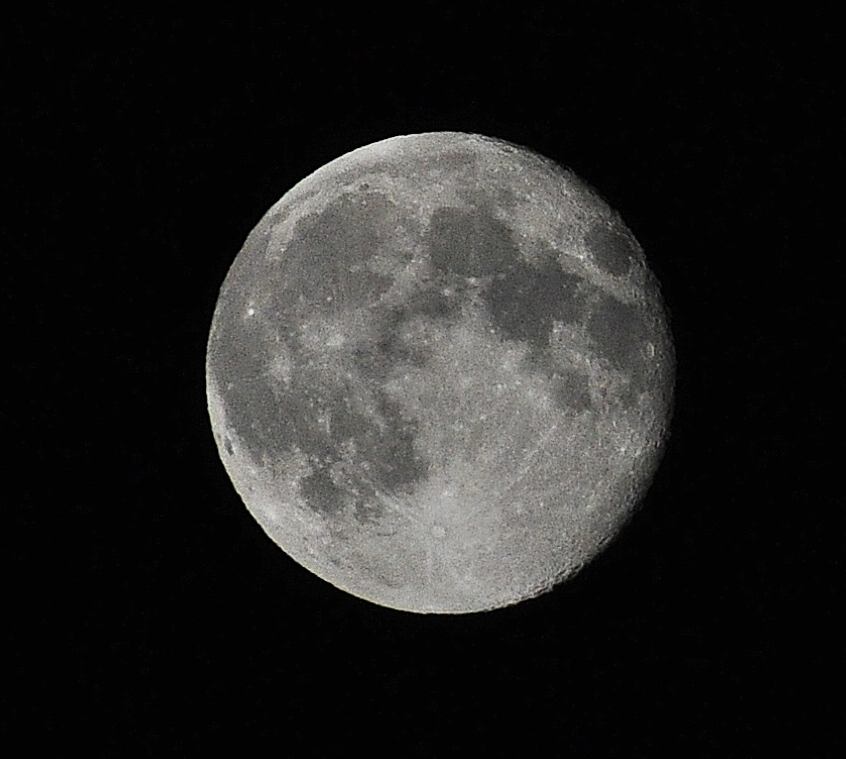mond01