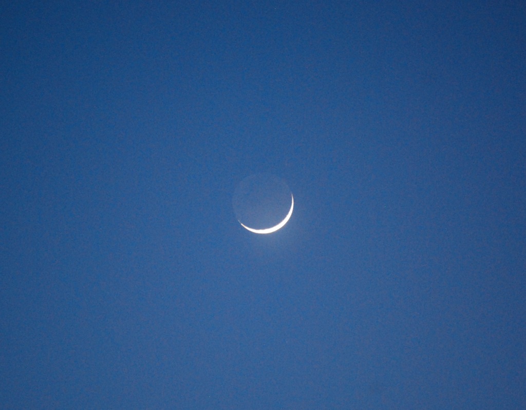 Mond1, 2010